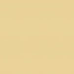 023 Cream - Gloss Finish