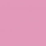 9305 Dusty Rose - Matte Finish