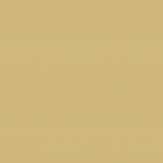 9460 Vegas Gold - Matte Finish