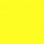 9920 Neon Yellow