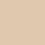 9731 Light Beige - Matte Finish