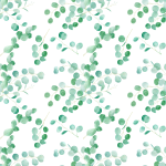 Eucalyptus
