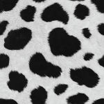 Cow Spots
