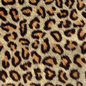 Printed Patterns – Animal Skins