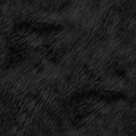 Black Panther