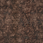 Snake Skin