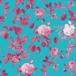 Ancient Rose Bright Blue