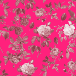 Ancient Rose Bright Pink